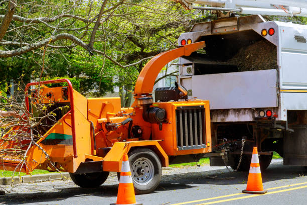 Best Grass Overseeding  in Alpine, NJ
