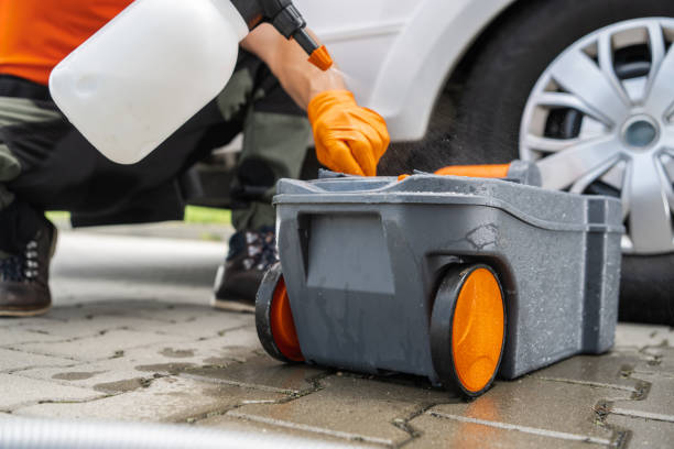 Best Tree Maintenance Programs  in Alpine, NJ